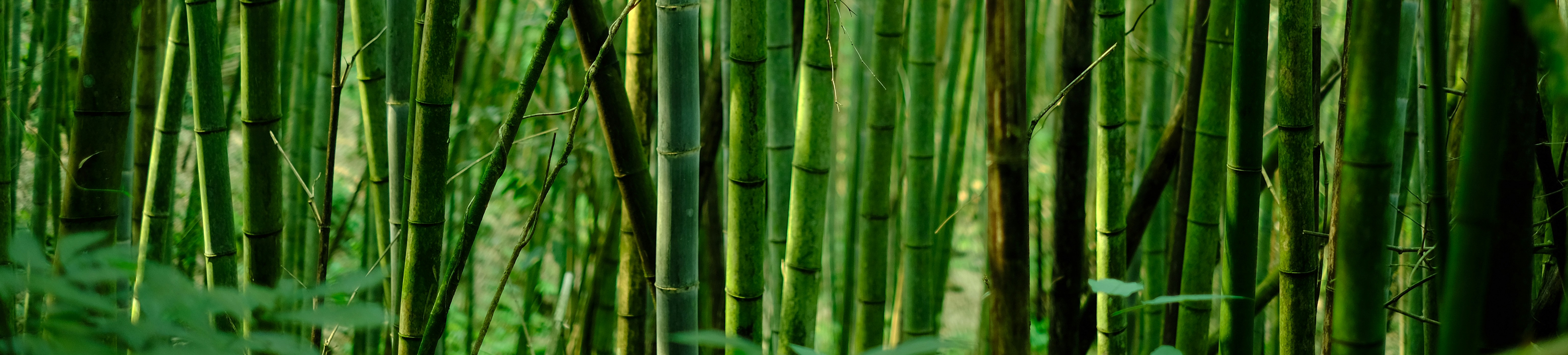 eric-barbeau-pd80jecsjf4-unsplash.1.6a42d76d8fc52