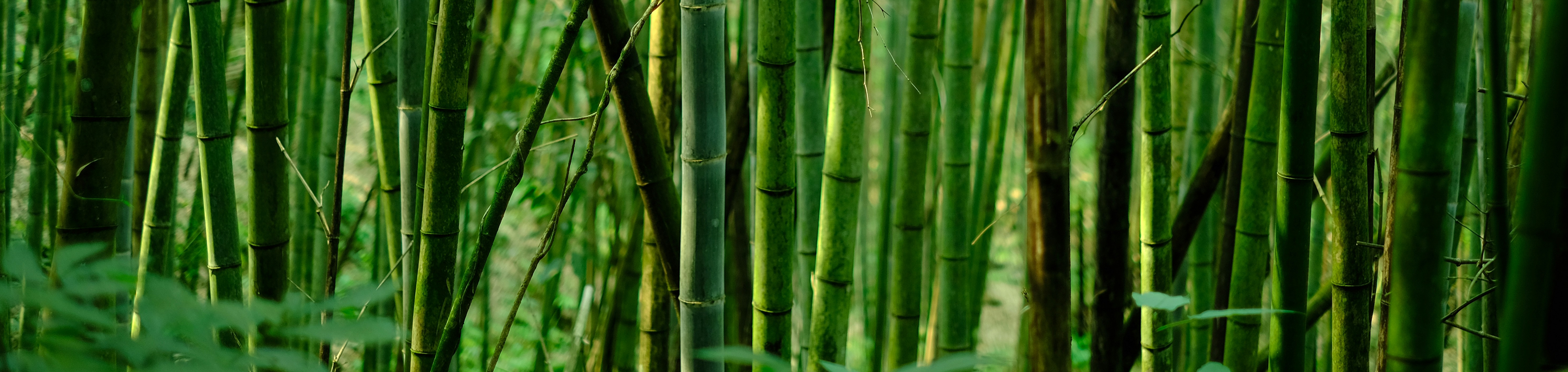 eric-barbeau-pd80jecsjf4-unsplash.21.6a42ce57a7826