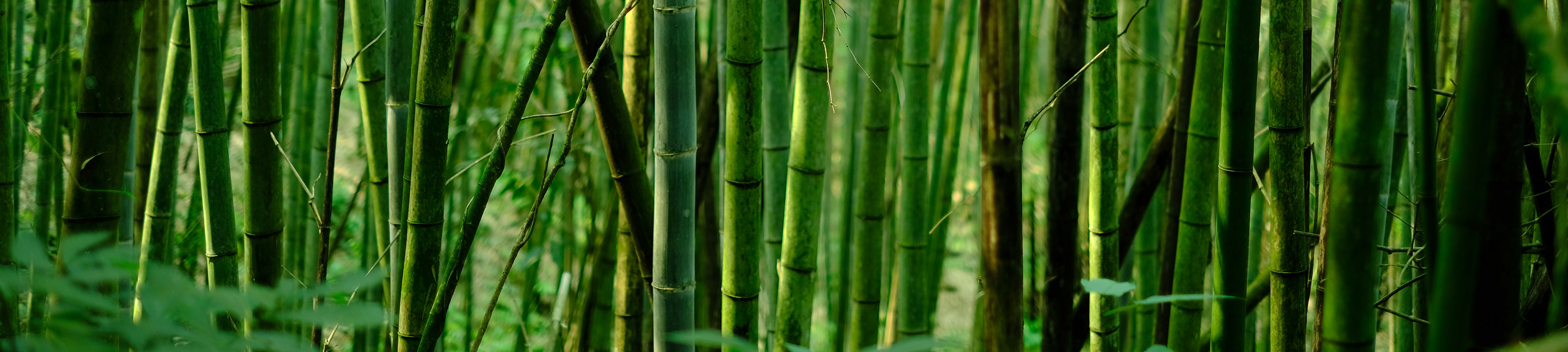 eric-barbeau-pd80jecsjf4-unsplash.4.6a42cfa06947a
